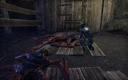 An Armiger's Duty 9.jpg