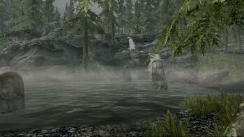 Skyrim Evergreen Grove