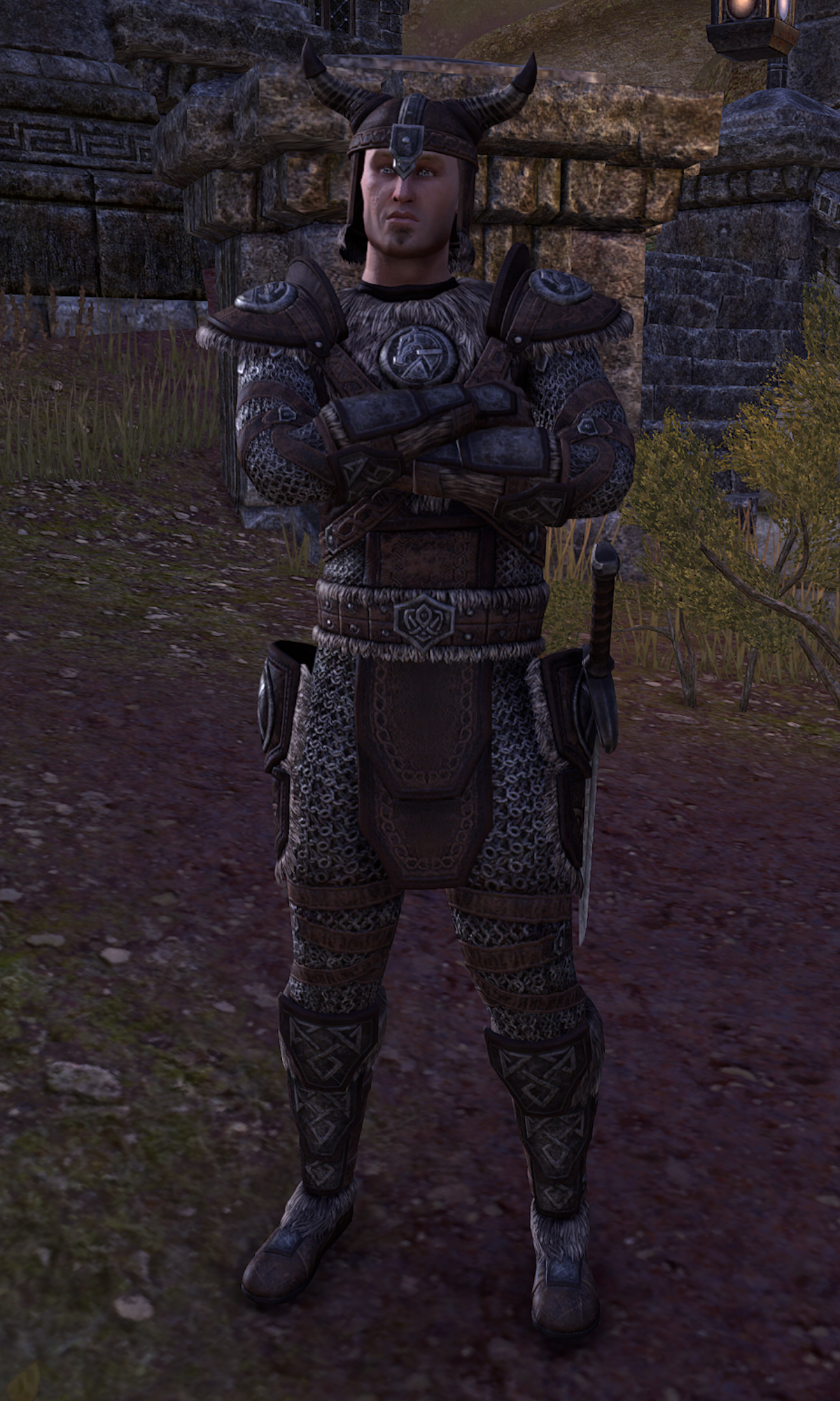 ESO Fashion  Solitude Runner, Grand Wolf's Head Border (Elder