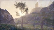 The landscape of the Reach.