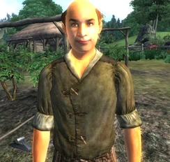 Реман Бродер