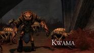 Kwama