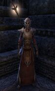 A Dunmer Pact mage in light armor.