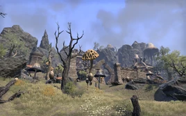 Maelkashishi (Online)