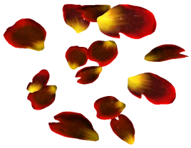 Fire Petal (Skyrim Creation Club)