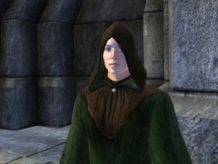 Зелёный капюшон.jpg (78 КБ) Зелёный капюшон