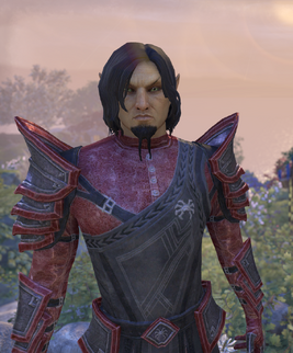 Dialogue screen
