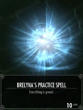 Brelyna's First Spell added by a console