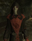 Gabriella, a member of the Brotherhood.