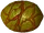 Red Kelp Gas Bladder (Skyrim Creation Club)