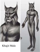 Concept art of a male Khajiit