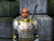 Category Oblivion Guard Captains Elder Scrolls Fandom