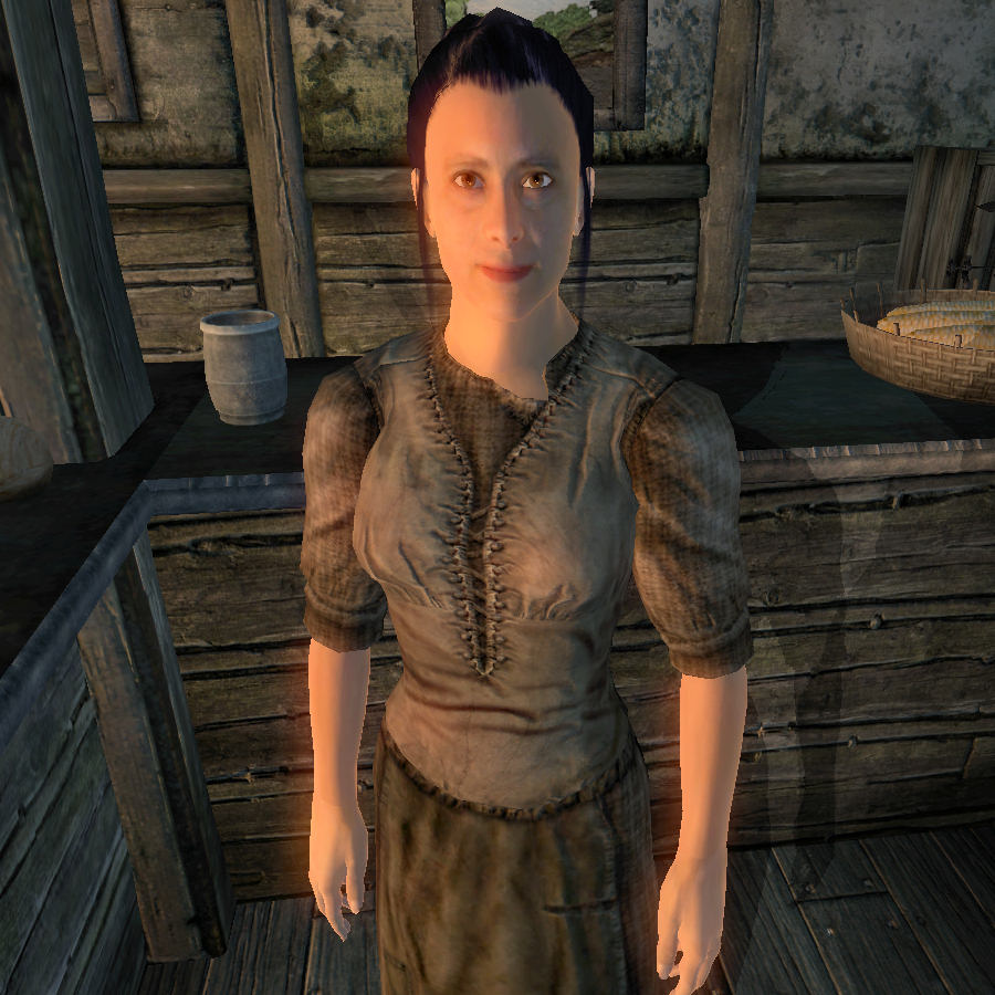 обливион знаки рождения. обливион максимальный уровень. Oblivion древо навыков. скайрим учителя одноручного оружия. учителя oblivion.