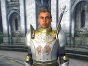 Category Oblivion Guard Captains Elder Scrolls Fandom