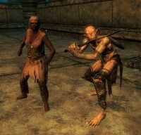 Фалмер и его прислужник