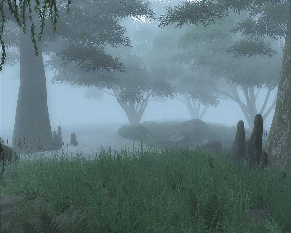 Локация гринвиль. Обливион черный лес локация. Blackwood обливион. Обливион 4 черный лес локация. The Elder Scrolls IV Oblivion черный лес.