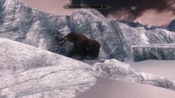 Frozen Mammoth The Elder Scrolls Wiki Fandom Frozen Mammoth The Elder Scrolls Wiki Fandom