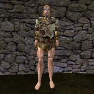 common_shirt_01_e