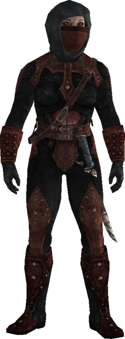 morrowind dark brotherhood armor