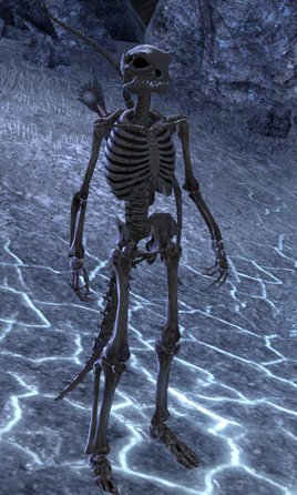 Skeletal Marksman