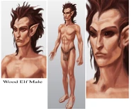 Wood Elf Male