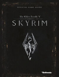 Skyrim Game Guide - Cover