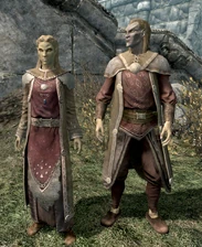 Een Altmer man en vrouw in Skyrim