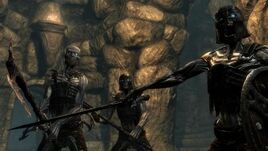 DraugrGroup