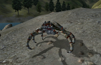 Cyrodillic mudcrab