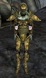 Redoran Guard (Morrowind)