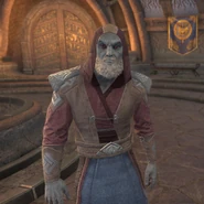 Barbas w postaci Arcykanona Tarvusa z gry The Elder Scrolls Online