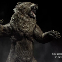 Bear Skyrim The Elder Scrolls Wiki Fandom