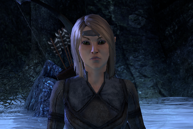 ESO: Talk to Sergeant Kamu - Into the Woods - , The Video