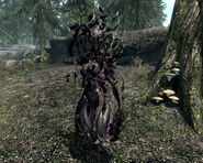 A spriggan earth mother in the wilds of Skyrim.