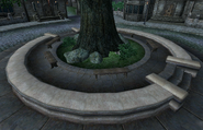 The Great Oak Place is the central plaza that made Chorrol.