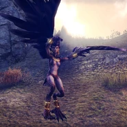 Harpia Matriarszyni z gry The Elder Scrolls Online