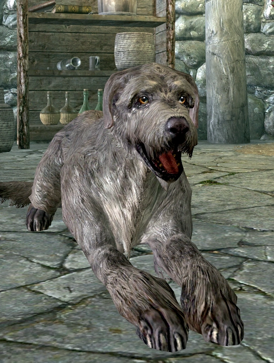 irish wolfhound skyrim