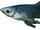 Abecean Longfin