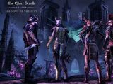 The Elder Scrolls Online: Shadows of the Hist