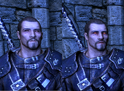 Dawnguard faces