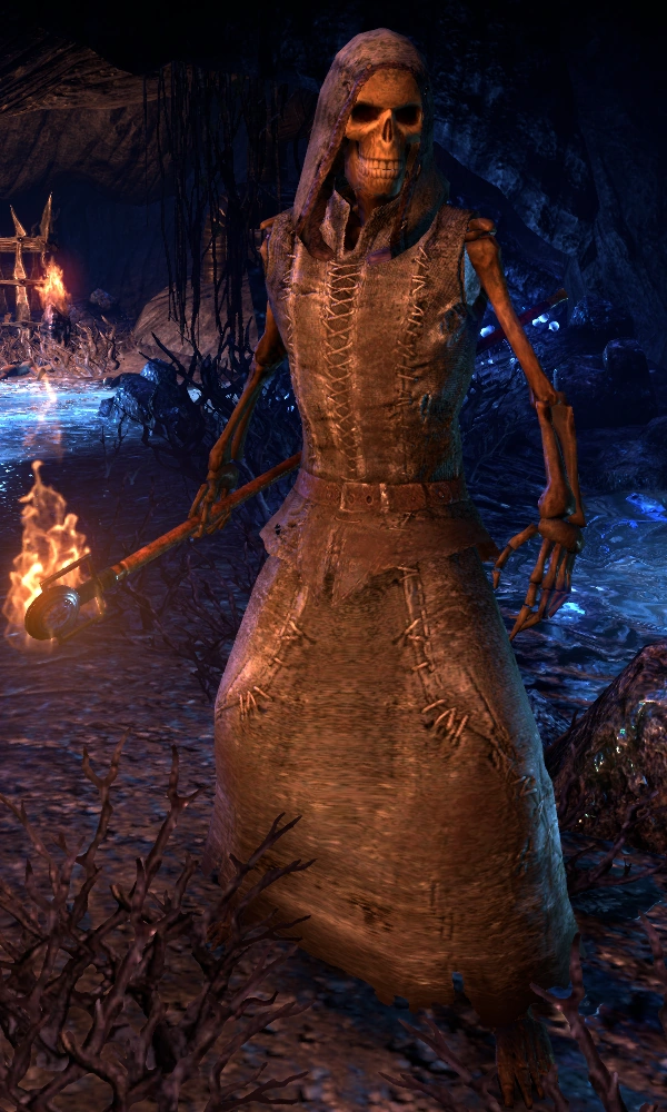 Skeletal Pyromancer | Elder Scrolls | Fandom