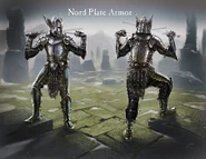 Nord Plate Armor