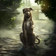 Karta „Barbas” z gry The Elder Scrolls: Legends