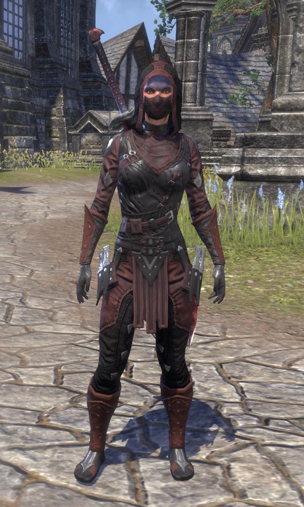 skyrim assassin guild armor