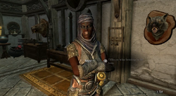 Hearthfiresteward.png