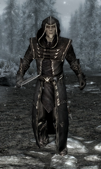 Thalmor Wizard