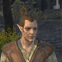 Bosmer Male (Blades)