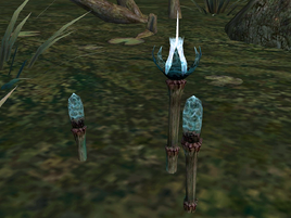 Draggle Tail