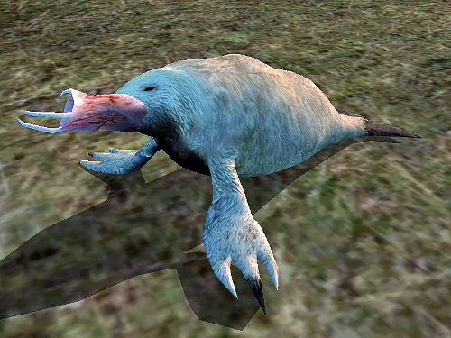 morrowind where are all the birds going