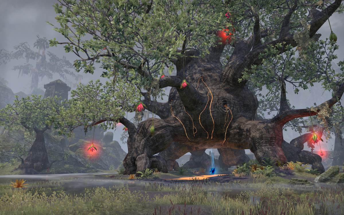 The Shattered Staff Elder Scrolls Fandom